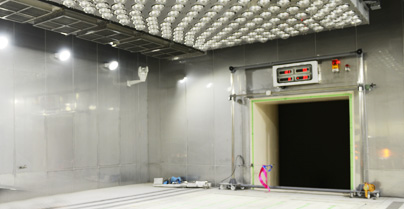 �˹���������