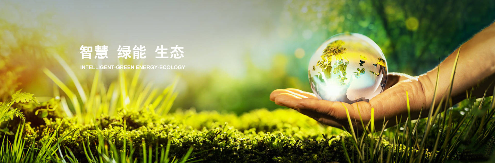 z6com������-(�й�)��˾�ٷ���վ