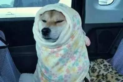 Ϊʲô˵ů²22(ͼ2)